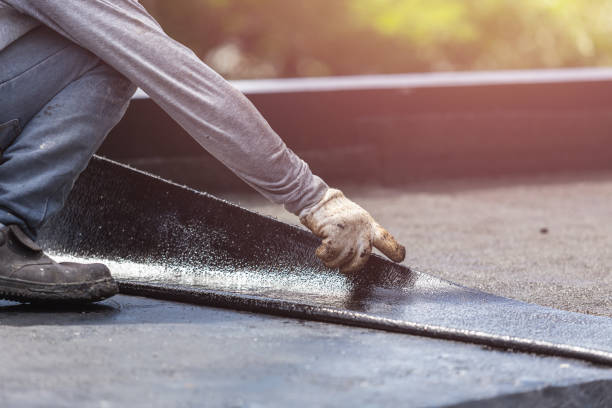 Professional Interior Drainage System technician working in Van Dyne, WI